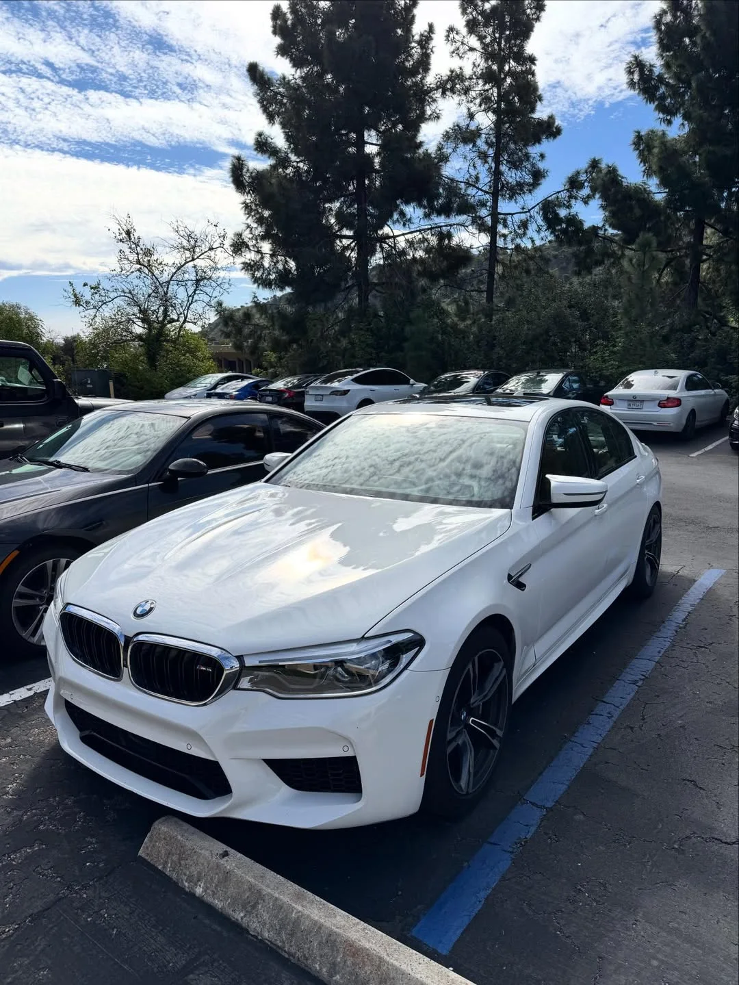 2019 BMW M5 — photo 1